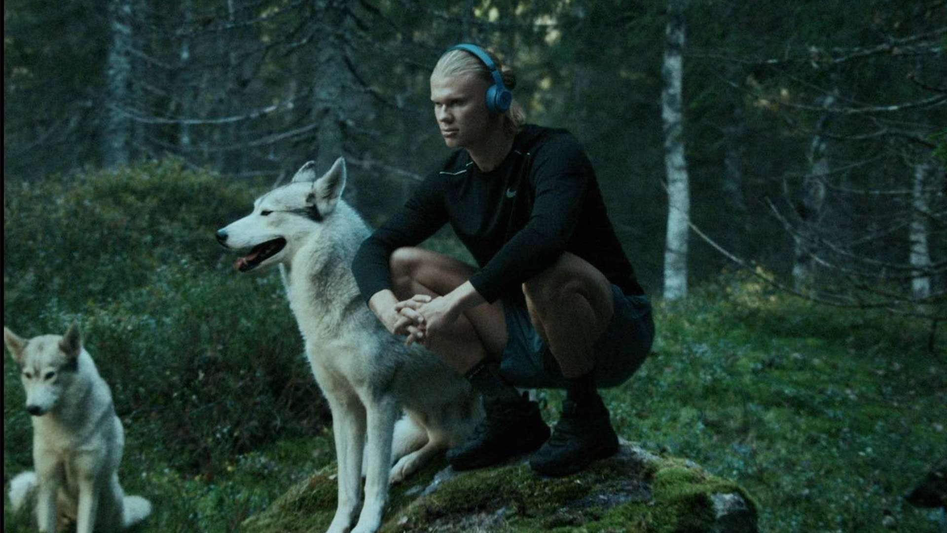 甚至在转会 甚至在转会